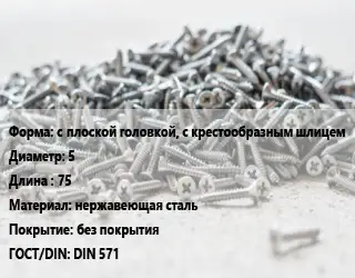 Шуруп с плоской головкой, с крестообразным шлицем 5х75 нержавеющая сталь без покрытия ГОСТ: DIN 571